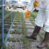 Microwipe Hand-held Weed Wiper for Selective Application - Angled