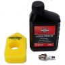 Briggs and Stratton Classic and Sprint (2003) Lawnmower Engine Service Kit 992200 / 992230 Briggs and Stratton Classic and Sprint (2003) Lawnmower Engine Service Kit 992200 / 992230
