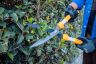 Stiga Hedge Shears Stiga Hedge Shears