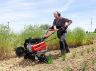 AL-KO Comfort MH 770 Petrol Cultivator 77cm / 196cc AL-KO Comfort MH 770 Petrol Cultivator 77cm / 196cc