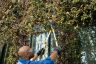 Stiga Telescopic Hedge Shears Stiga Telescopic Hedge Shears