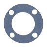 Ambrogio Gasket Guarnizione L25Z05700A Ambrogio Gasket Guarnizione L25Z05700A