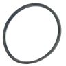 Webb Belt WE158-606088