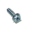 Screw Screw