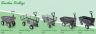 Handy 295kg Towed Poly Garden Utility Dump Cart Trailer for Ride-On Handy 295kg Towed Poly Garden Utility Dump Cart Trailer for Ride-On
