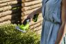 Greenworks G24SHT 24V Grass Shrub Shear (Tool Only)
