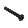 To Clear - Special Price - Torx Oval-Head Screw F016L36835
