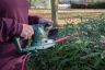 Webb Electric Hedge Trimmer 500w / 51cm EHT500 Webb Electric Hedge Trimmer 500w / 51cm EHT500