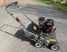 Weibang Intrepid 38 SCP Professional Petrol Scarifier 38cm / 196cc Weibang Intrepid 38 SCP Professional Petrol Scarifier 38cm / 196cc