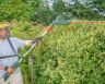 Webb Cordless Long Reach Hedge Trimmer & Pruner 20v / 50cm (Tool Only) Webb Cordless Long Reach Hedge Trimmer & Pruner 20v / 50cm (Tool Only)