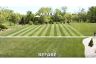 Toro Lawn Striper for TimeMaster Machines Toro Lawn Striper for TimeMaster Machines