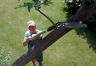 Darlac Swop-Top Sabre Tooth Saw Darlac Swop-Top Sabre Tooth Saw