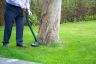 Webb Electric Grass Trimmer 250w / 23cm ELT250 Webb Electric Grass Trimmer 250w / 23cm ELT250
