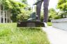 Bosch UniversalGrassCut 1826 Cordless Grass Trimmer 18v / 26cm Bosch UniversalGrassCut 1826 Cordless Grass Trimmer 18v / 26cm