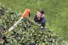 TO CLEAR Flymo SabreCut XT Cordless Long Reach Hedge Trimmer KIT 20v / 42cm TO CLEAR Flymo SabreCut XT Cordless Long Reach Hedge Trimmer KIT 20v / 42cm