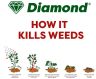 Diamond Horse Tail Total Weed Control 5L Diamond Horse Tail Total Weed Control 5L