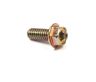Briggs and Stratton Screw 690810 Briggs and Stratton Screw 690810