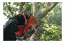 Mitox 265TX Premium Lightweight Top Handle Chainsaw 25cm / 25cc Mitox 265TX Premium Lightweight Top Handle Chainsaw 25cm / 25cc