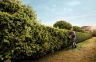 STIHL HS82RCE Hedgetrimmer 22.7cc 1.0hp 2 Mix Eng 75 STIHL HS82RCE Hedgetrimmer 22.7cc 1.0hp 2 Mix Eng 75