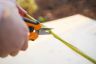 Stiga Stainless Steel Pruning Snips Stiga Stainless Steel Pruning Snips