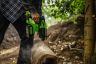 Greenworks GD24SDS2 24V 2J Brushless Hammer Drill (Tool Only)