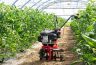 AL-KO Easy MH 360 Petrol Cultivator 36cm / 139cc AL-KO Easy MH 360 Petrol Cultivator 36cm / 139cc